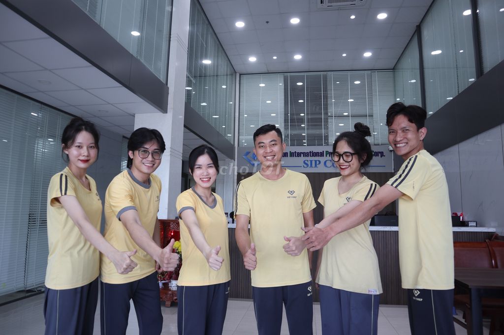 lĩnh vực hoạt động