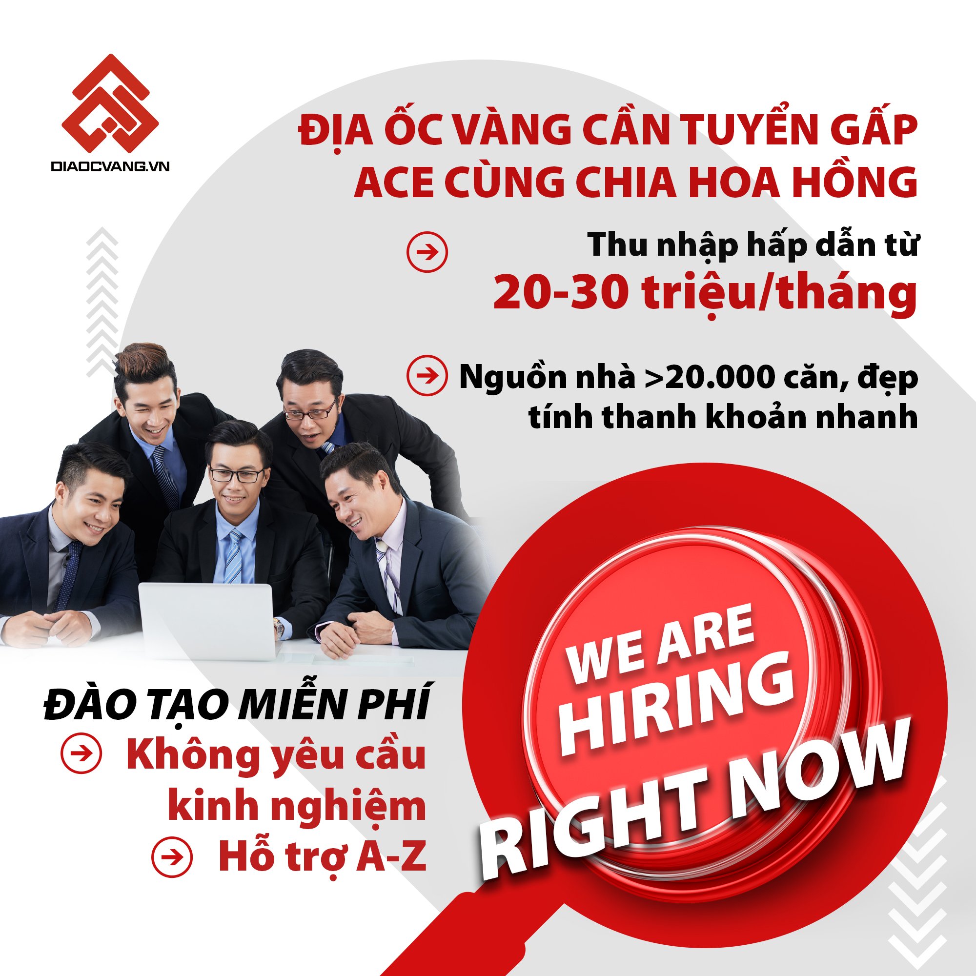 lĩnh vực hoạt động