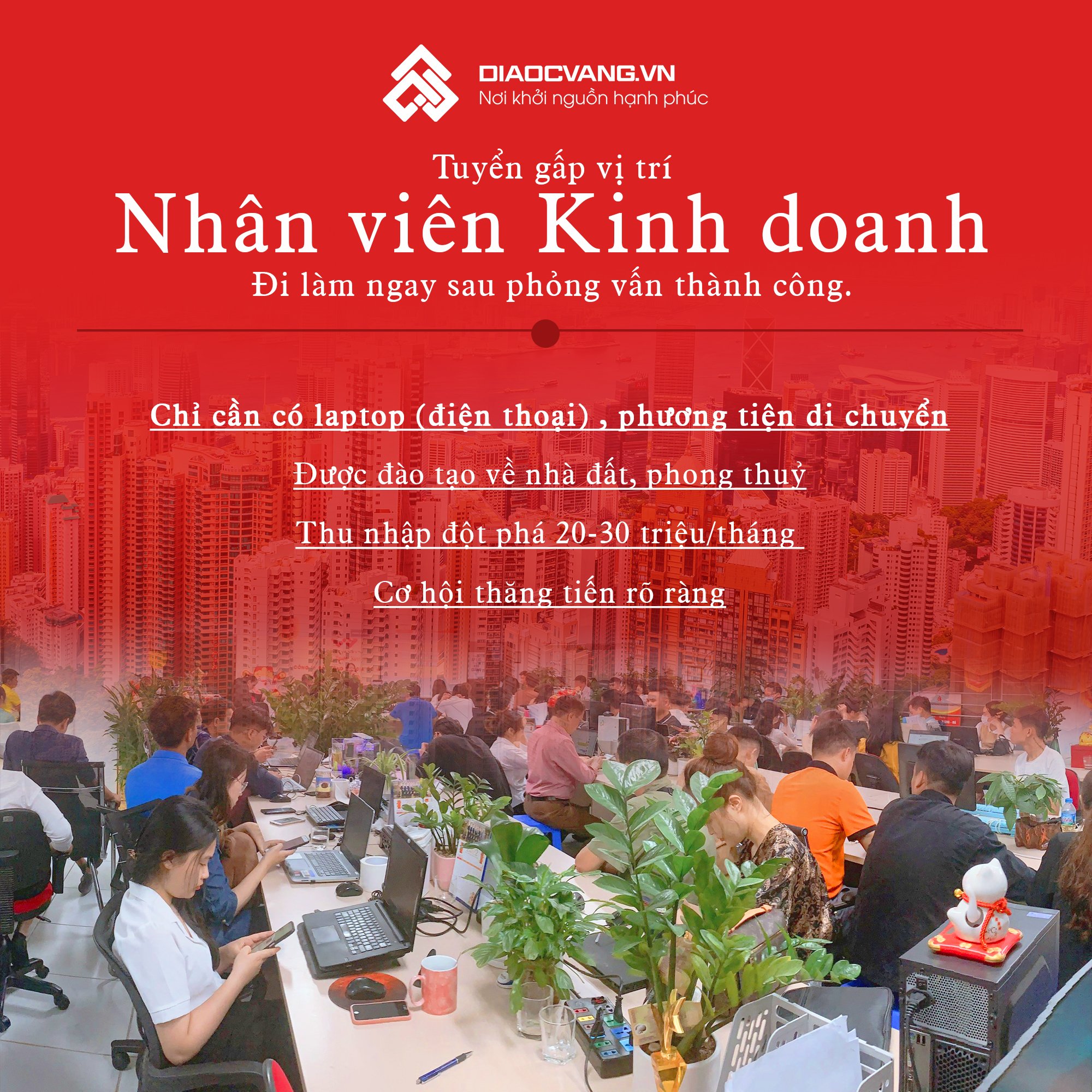 lĩnh vực hoạt động
