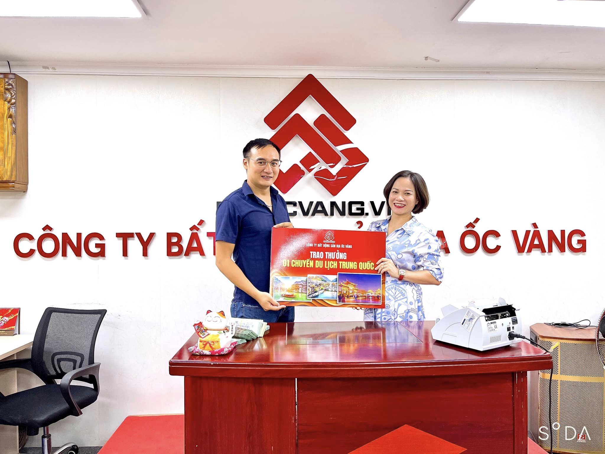 lĩnh vực hoạt động
