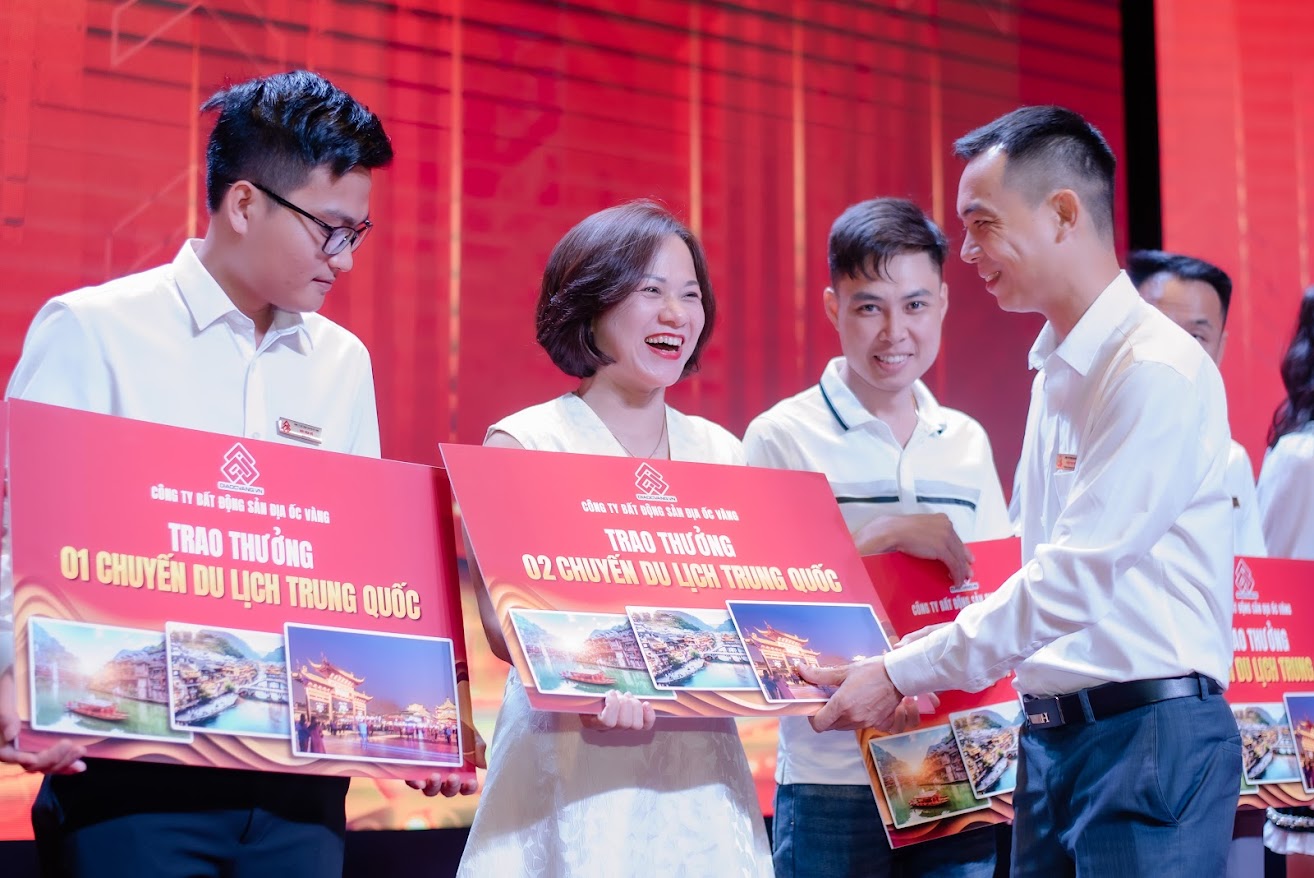 lĩnh vực hoạt động