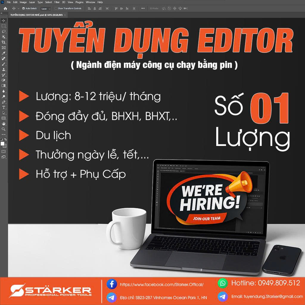 lĩnh vực hoạt động