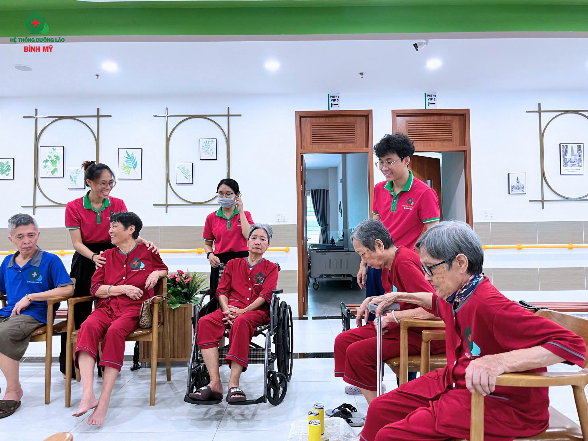 lĩnh vực hoạt động
