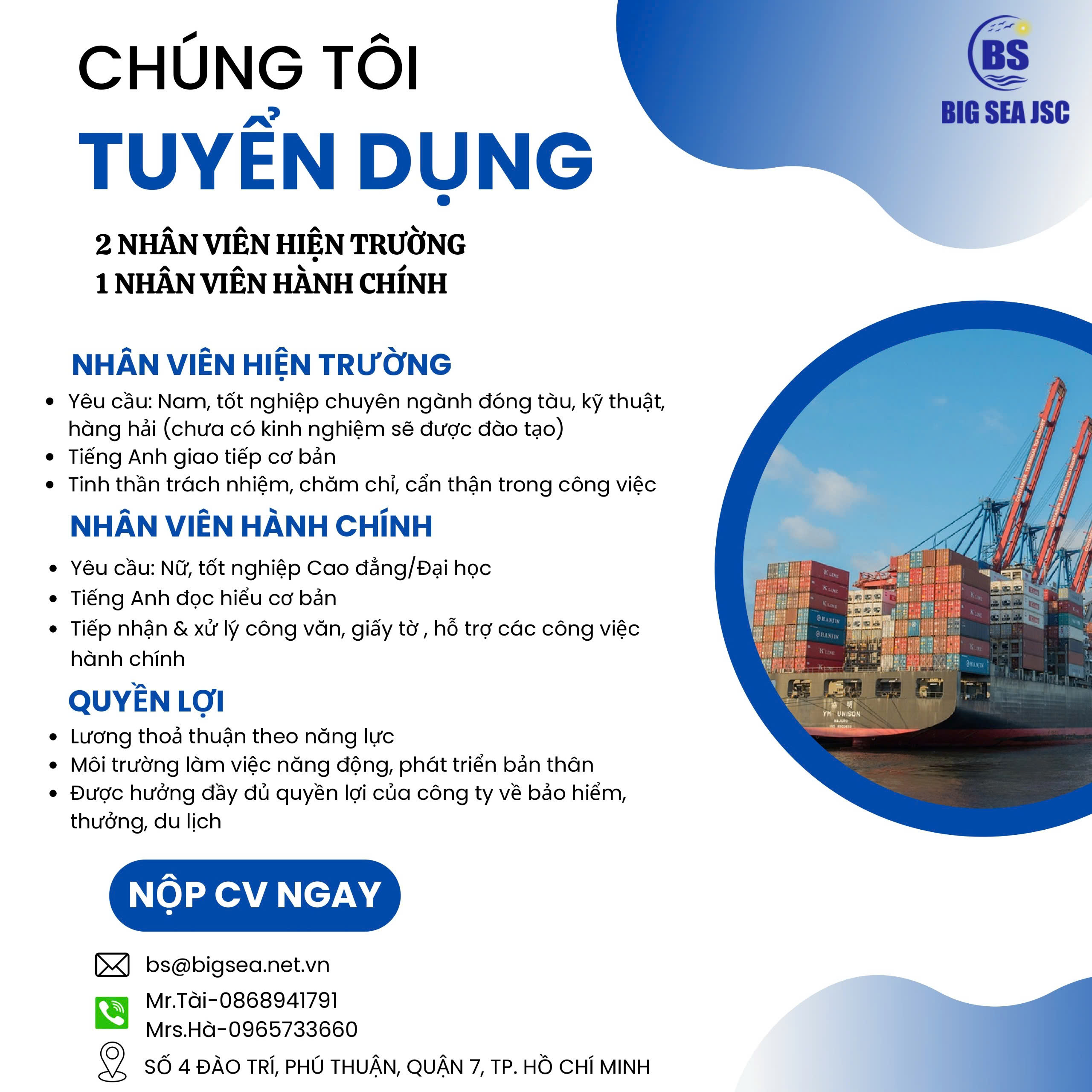 lĩnh vực hoạt động