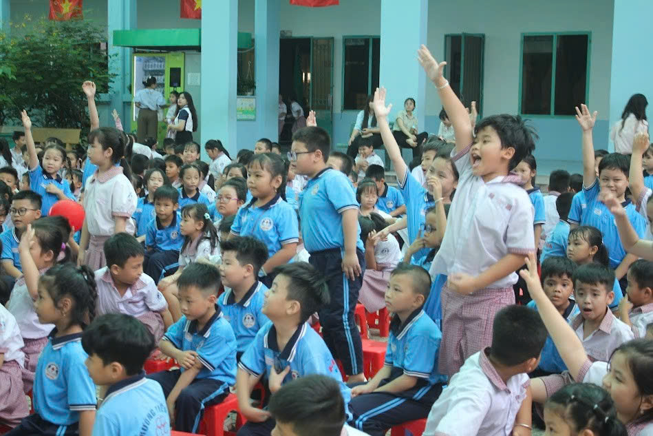 lĩnh vực hoạt động