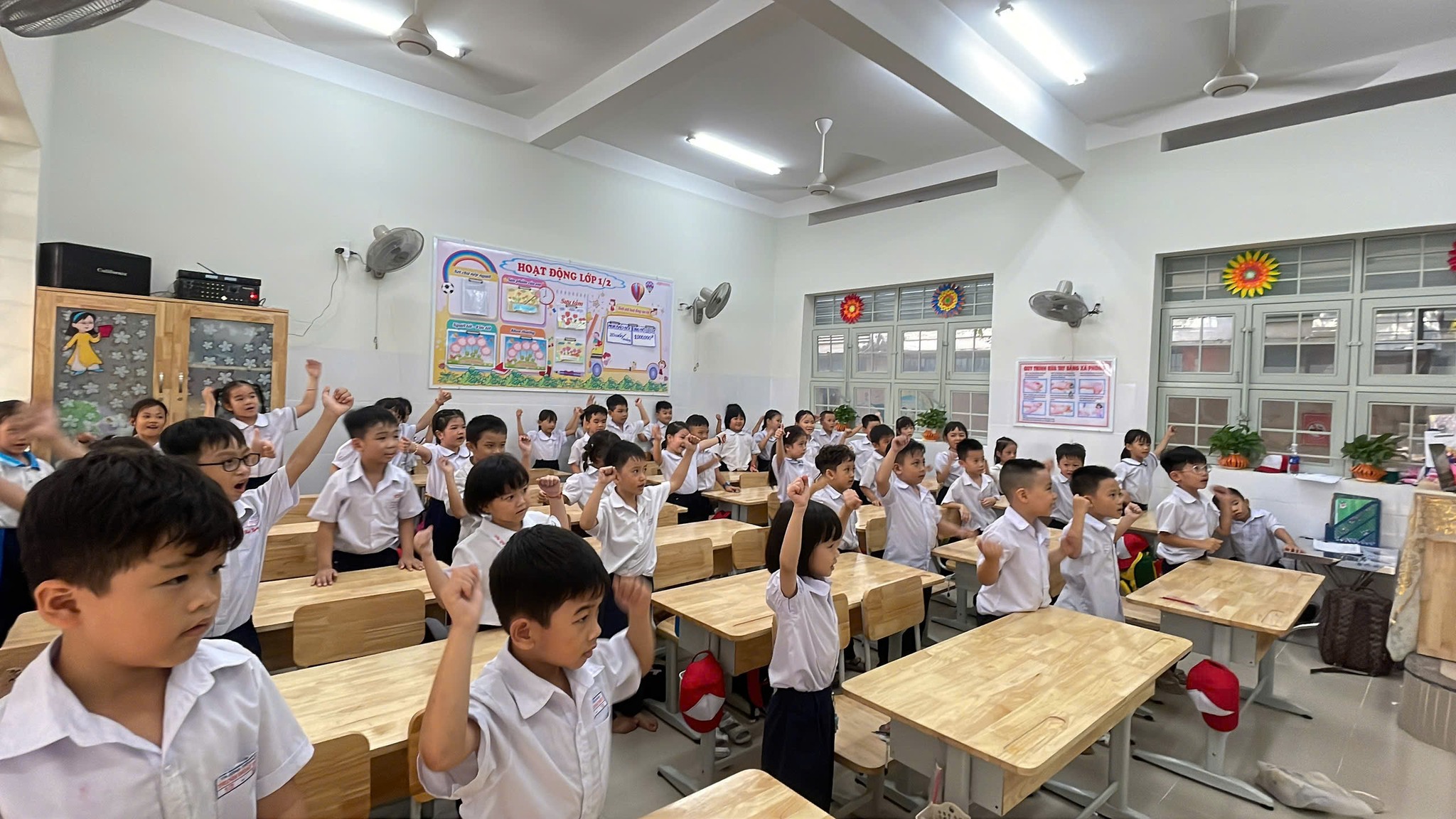 lĩnh vực hoạt động