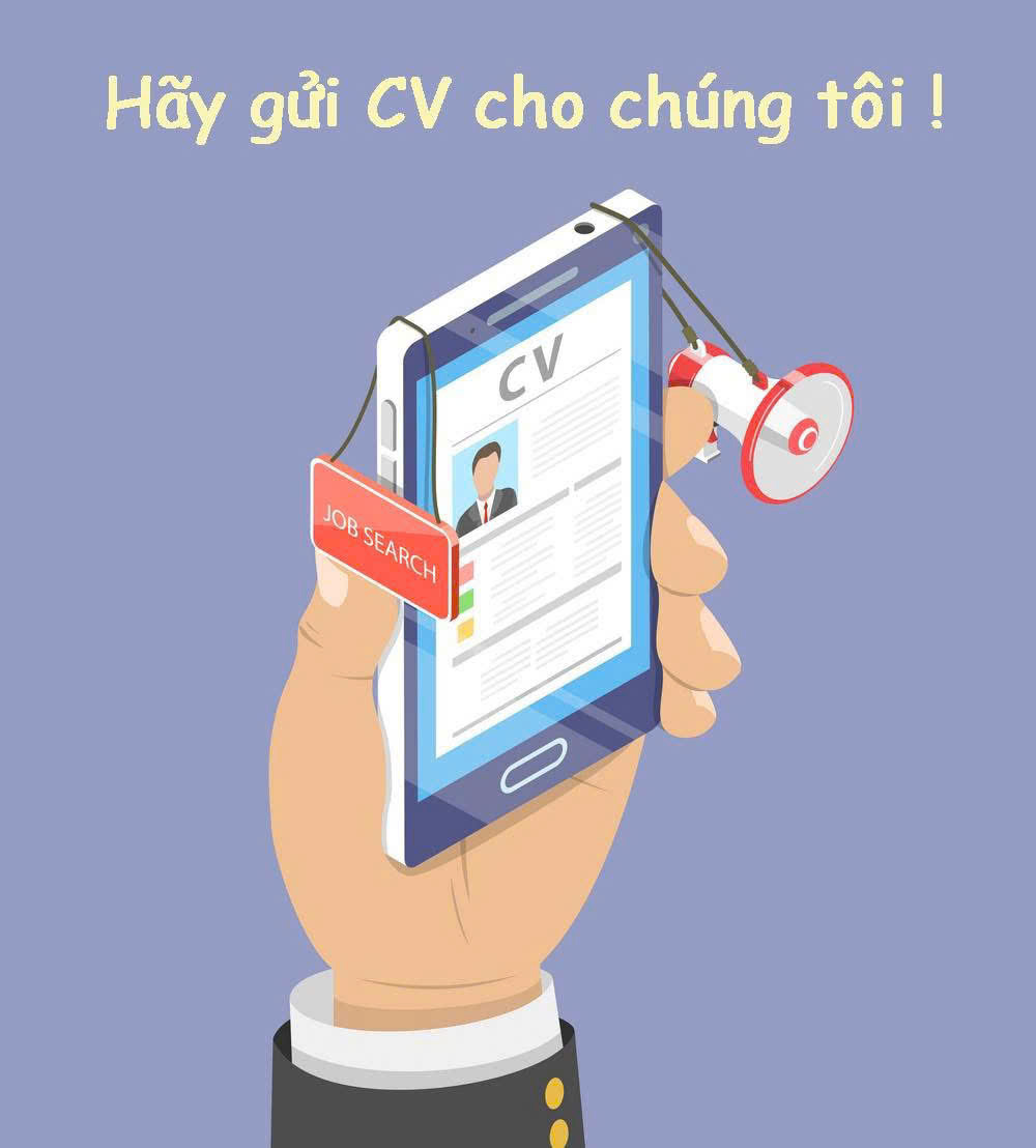 lĩnh vực hoạt động