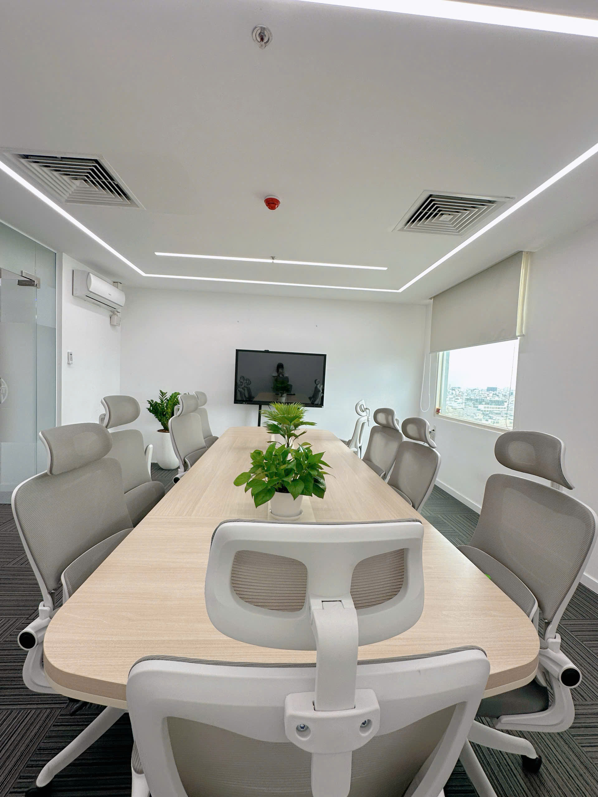 lĩnh vực hoạt động