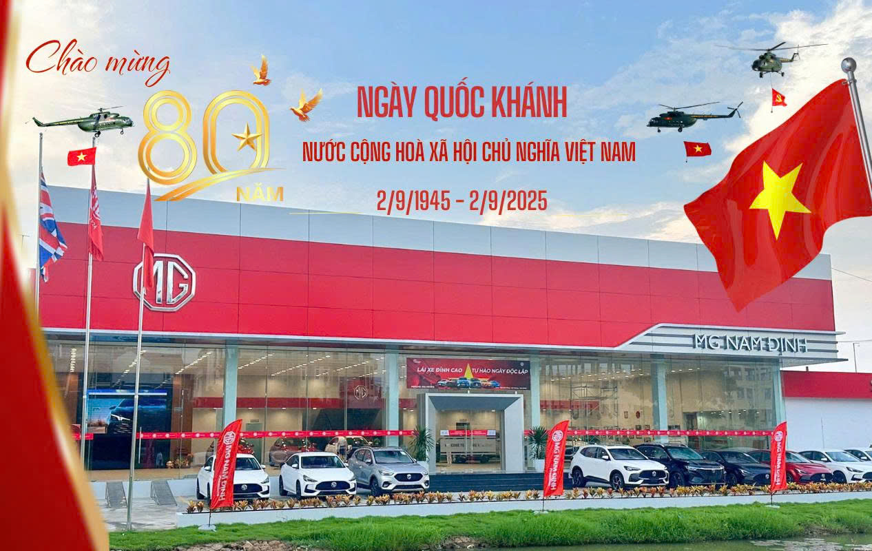 lĩnh vực hoạt động