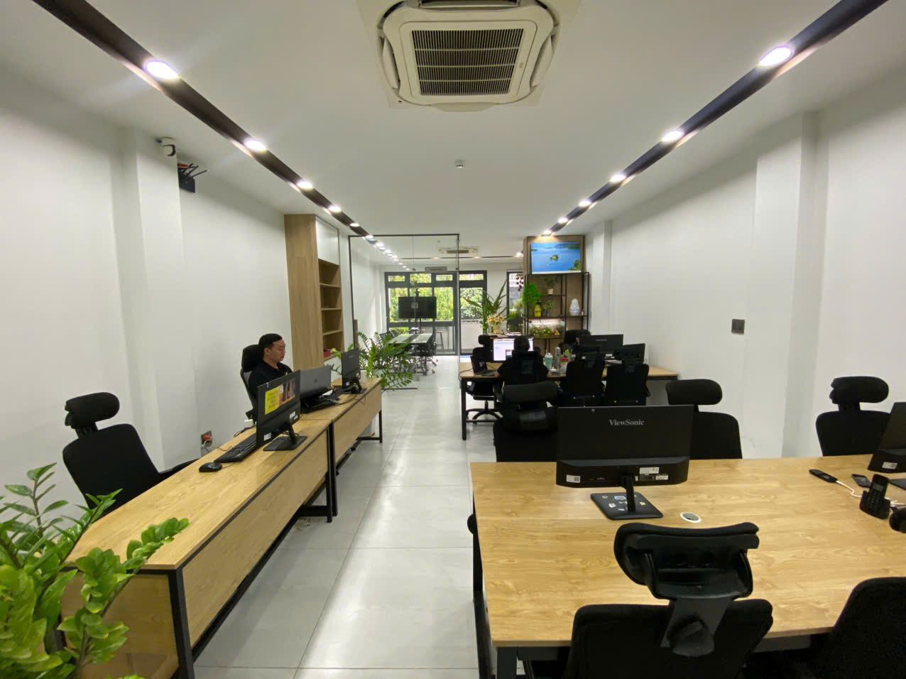 lĩnh vực hoạt động
