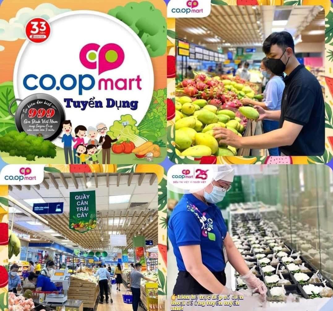 lĩnh vực hoạt động
