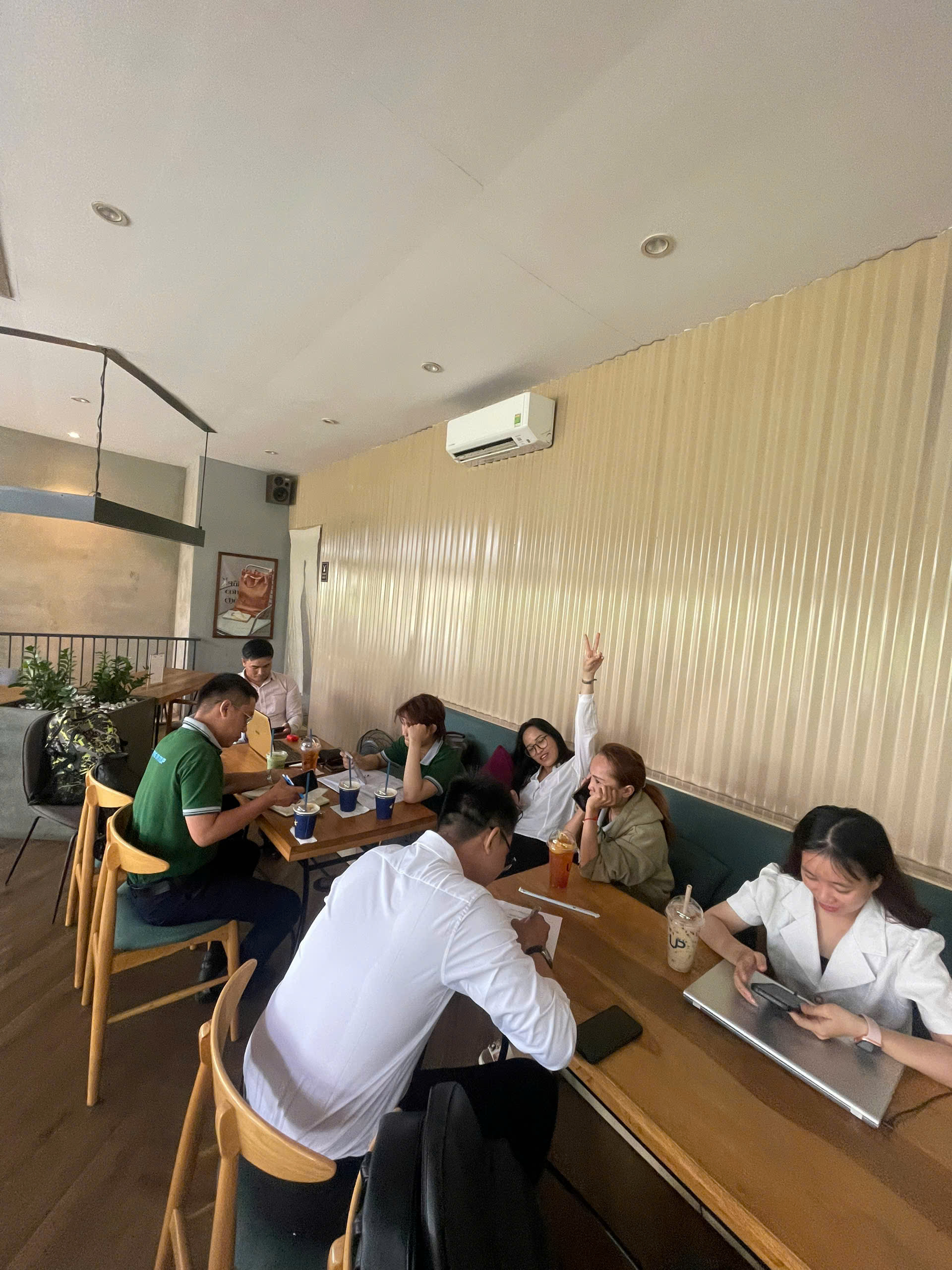 lĩnh vực hoạt động