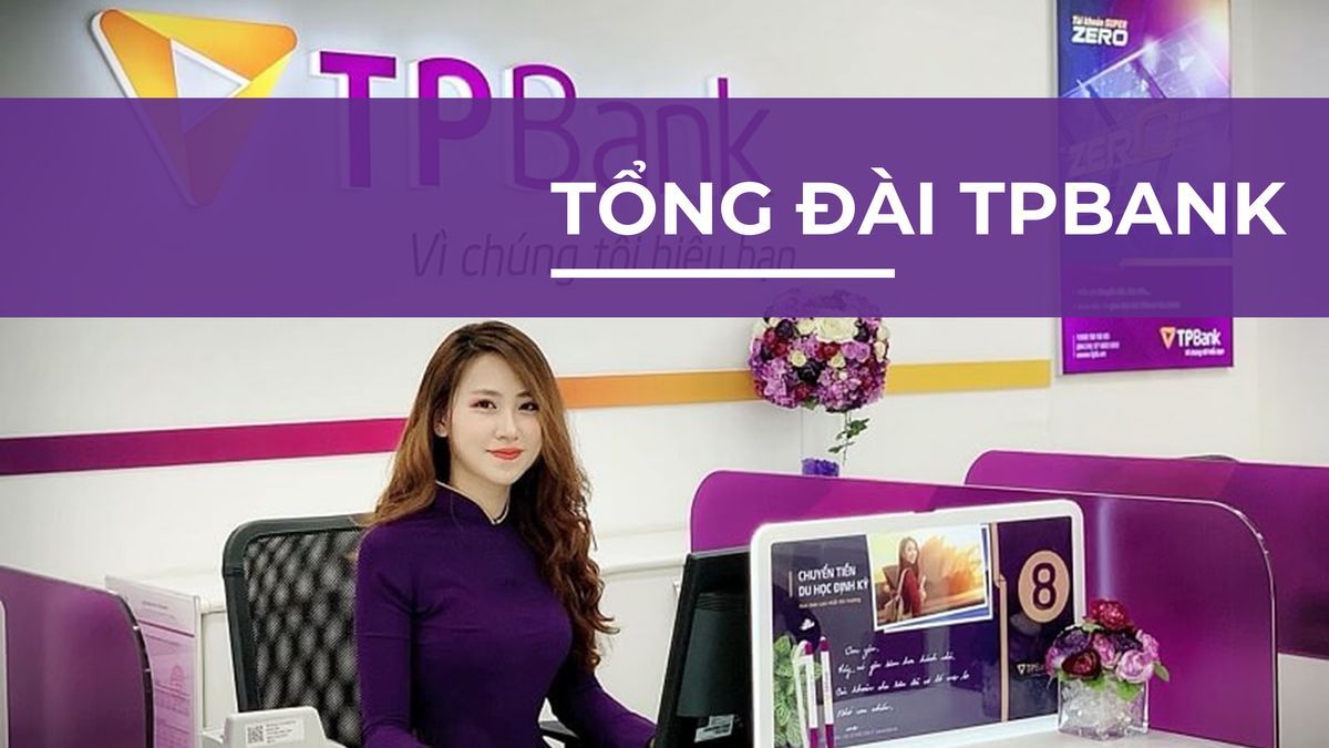 lĩnh vực hoạt động