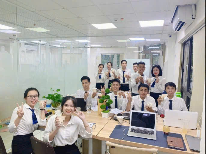 lĩnh vực hoạt động