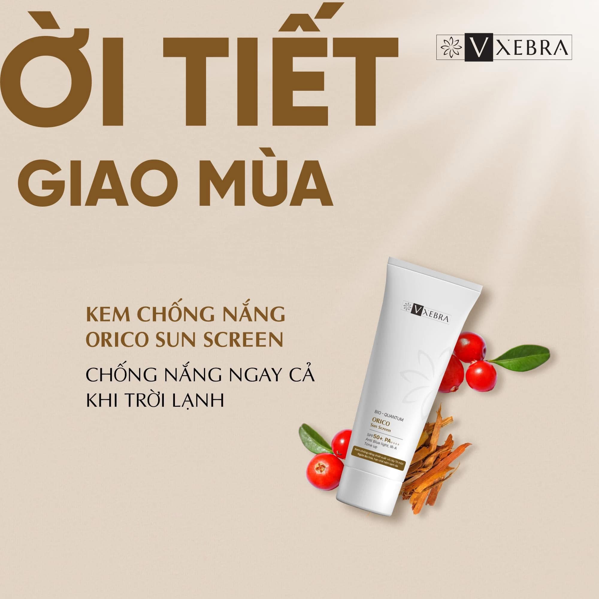 lĩnh vực hoạt động