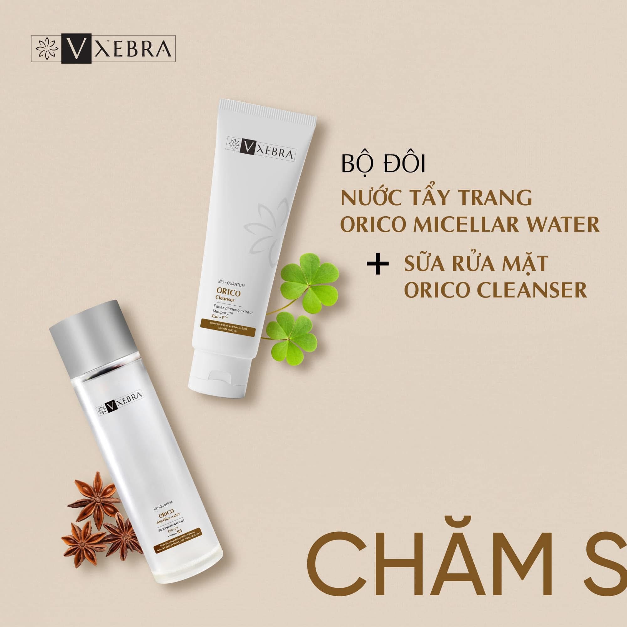 lĩnh vực hoạt động