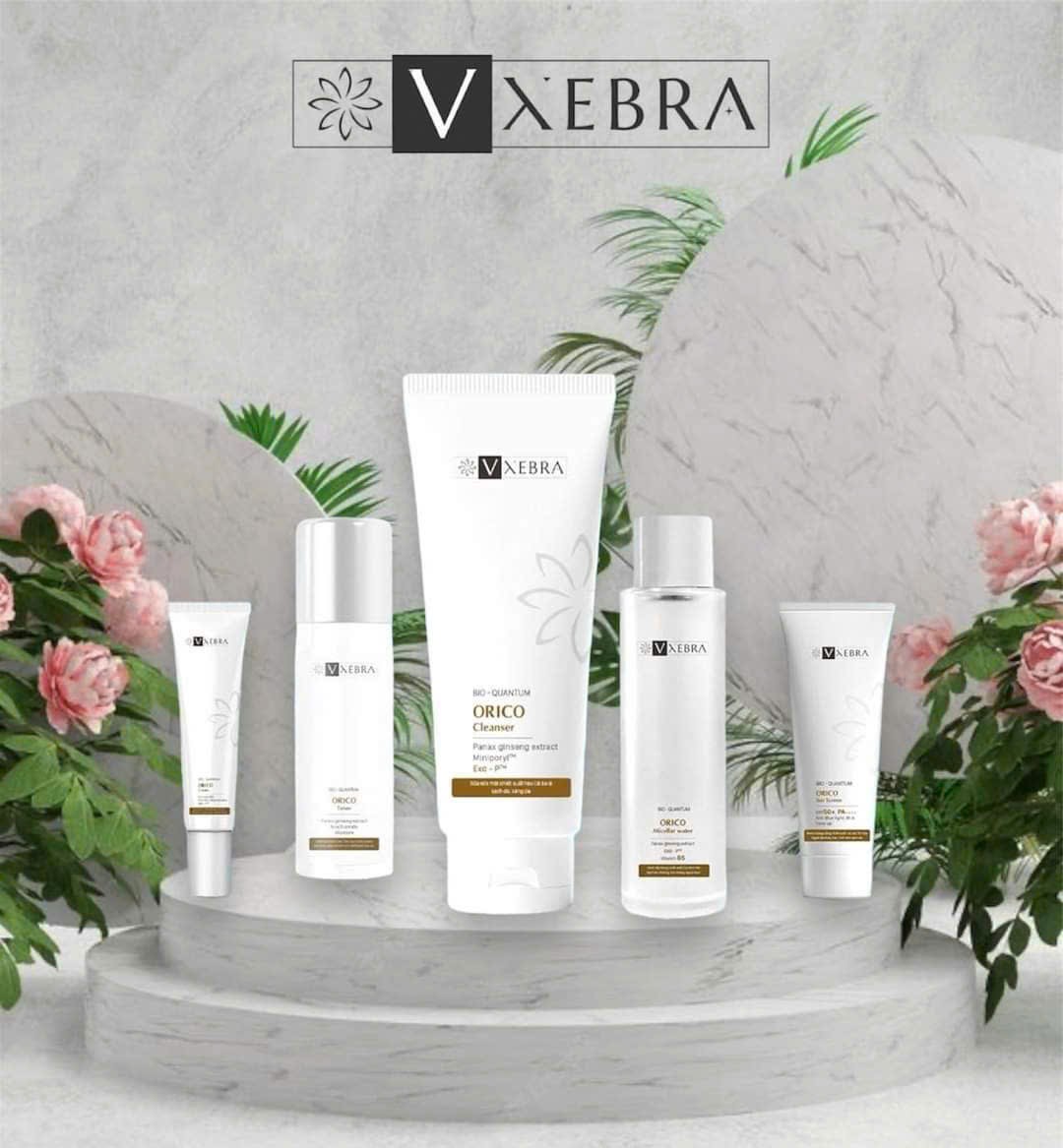 lĩnh vực hoạt động