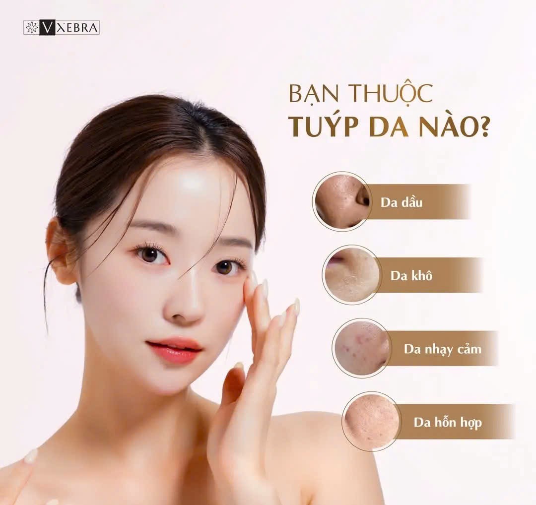 lĩnh vực hoạt động