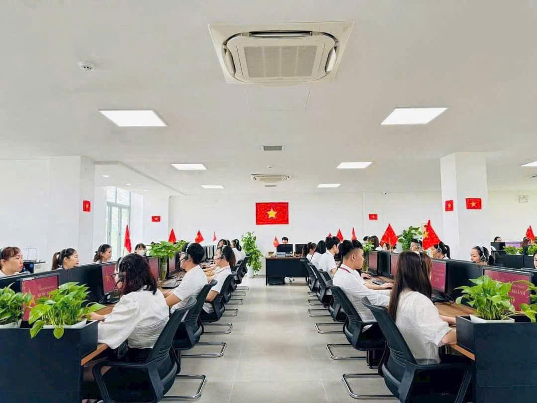 lĩnh vực hoạt động