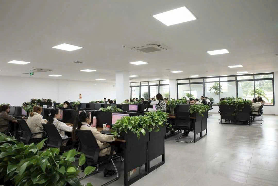 lĩnh vực hoạt động