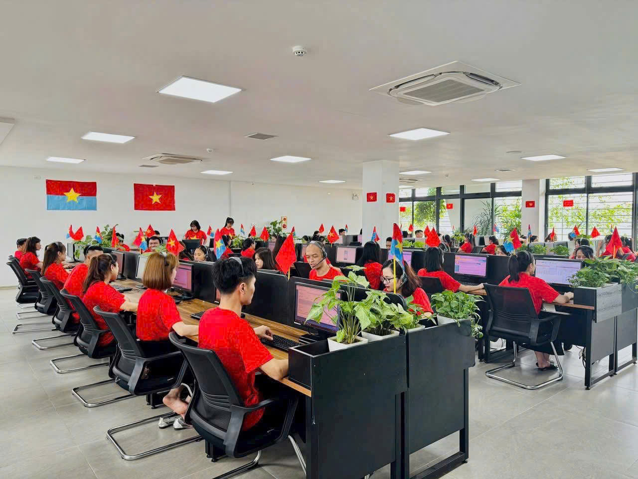 lĩnh vực hoạt động