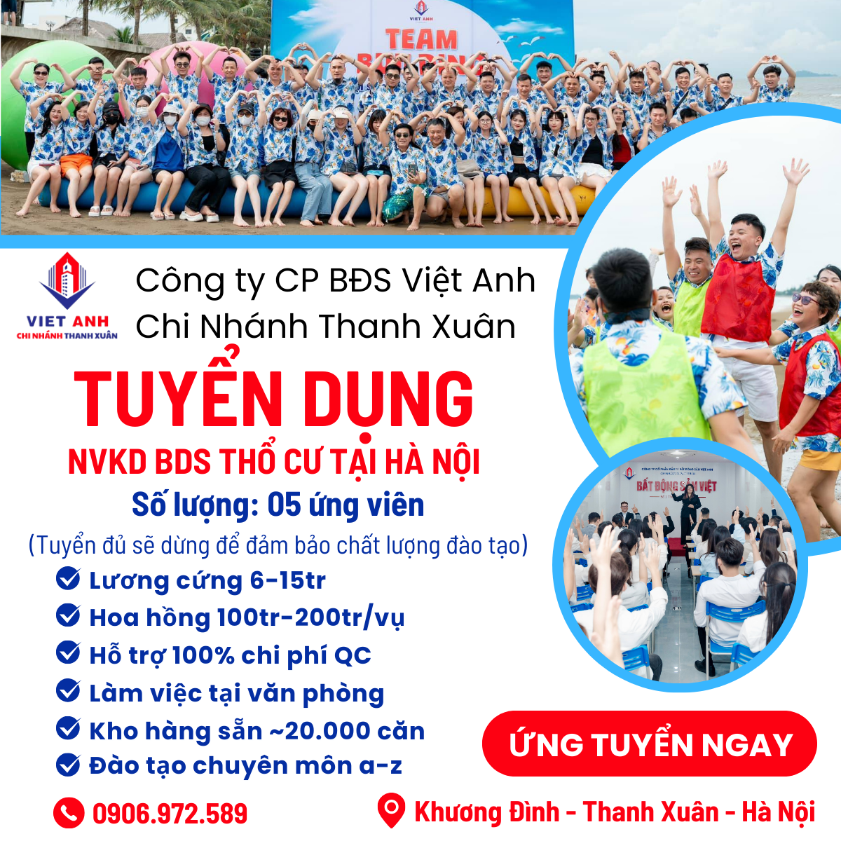 lĩnh vực hoạt động
