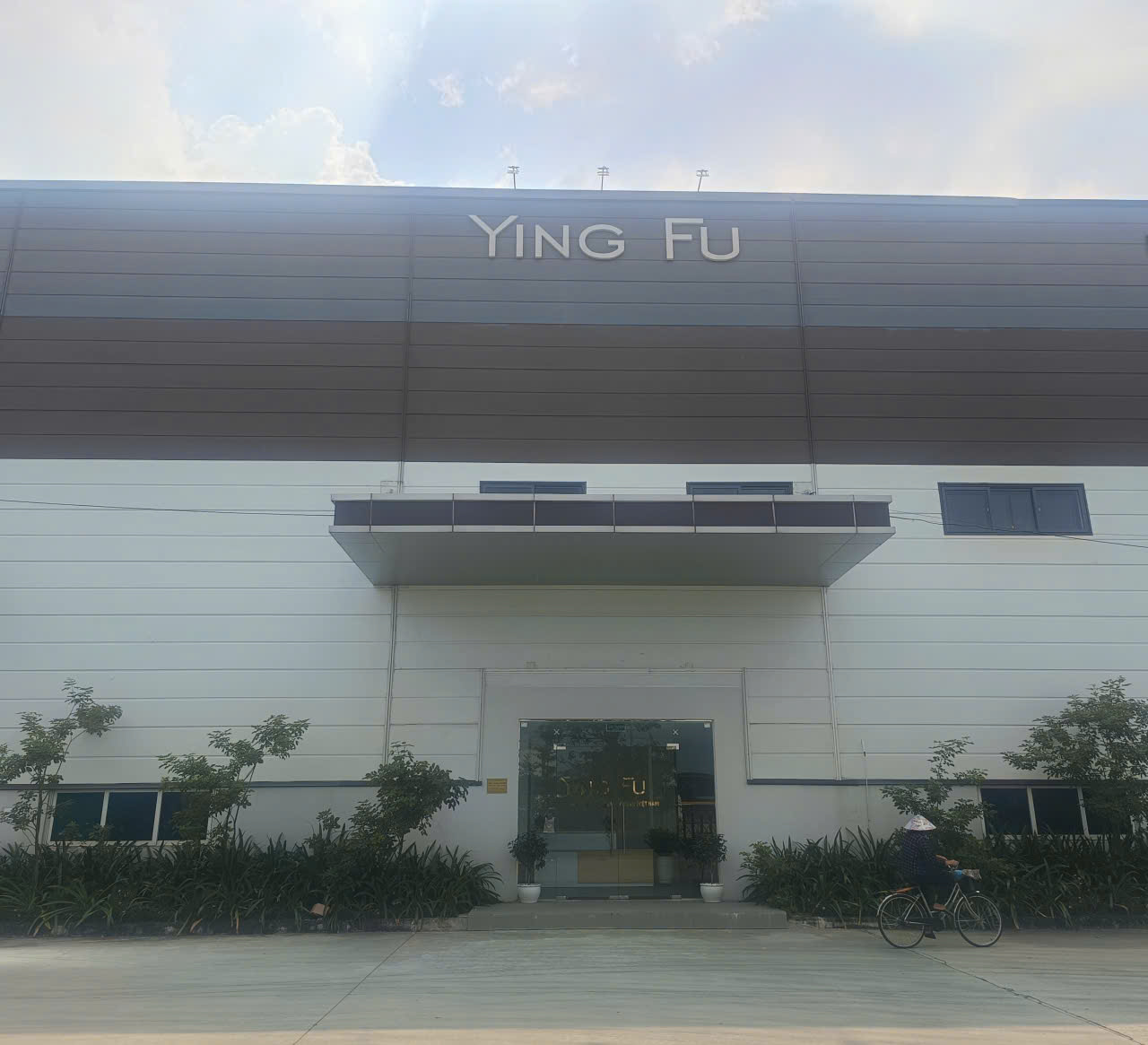 lĩnh vực hoạt động