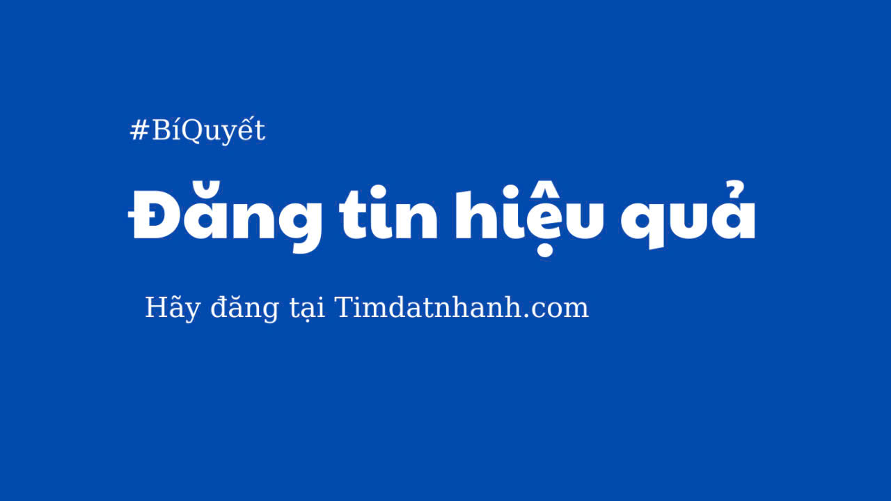 lĩnh vực hoạt động