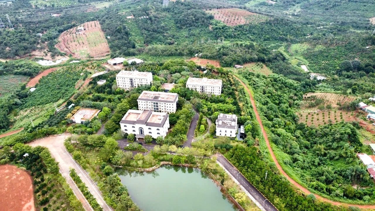 lĩnh vực hoạt động